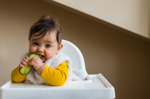 La diversicifation alimentaire de bébé.